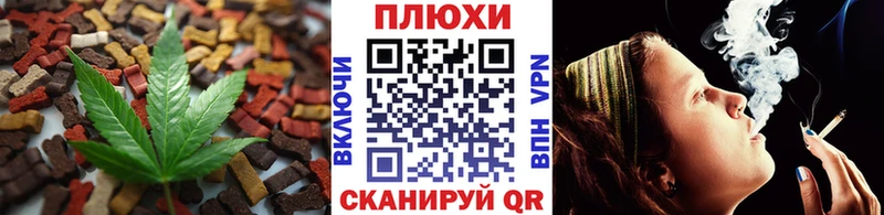 Canna-Cookies марихуана  hydra как войти  Бородино 