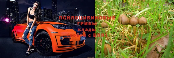ALPHA PVP Арсеньев