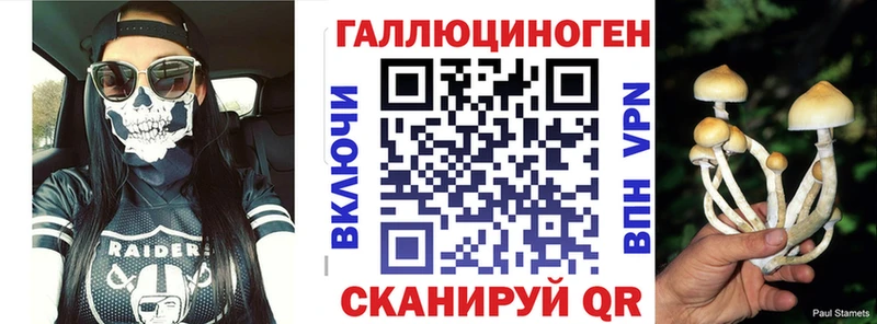продажа наркотиков  Бородино  OMG tor  Псилоцибиновые грибы мицелий 